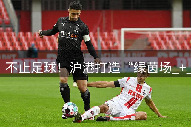 不止足球！沪港打造“绿茵场 + 实验室”新模式 助力香港青年认识祖国发展